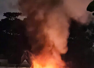 Cháy kho len ở Đà Lạt