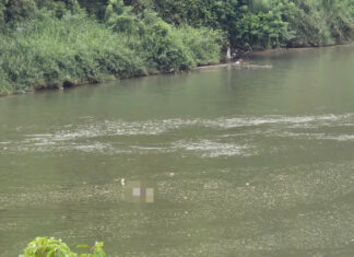 Lâm Đồng: Tìm thân nhân thi thể nam giới nổi trên sông