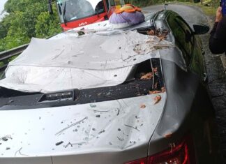 Cây rừng ngã đè trúng xe ô tô trên đèo Bảo Lộc