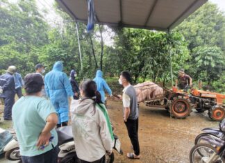 Lâm Đồng: Tiêu hủy đàn lợn nhiễm bệnh dịch tả lợn Châu Phi